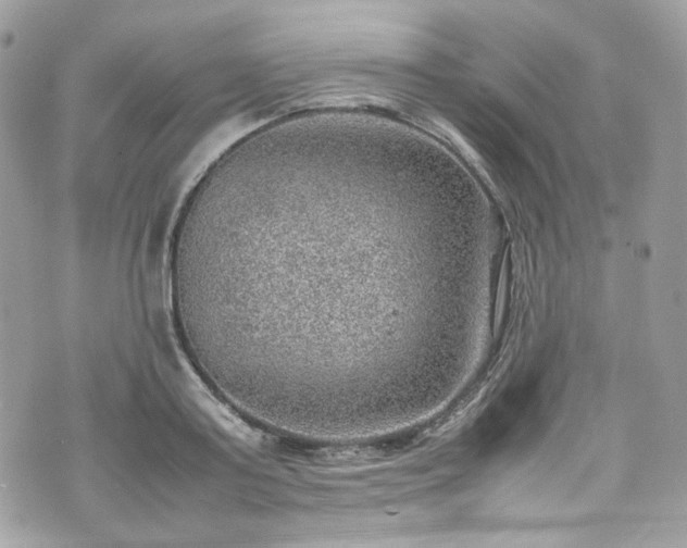 X0000070370795200606161316