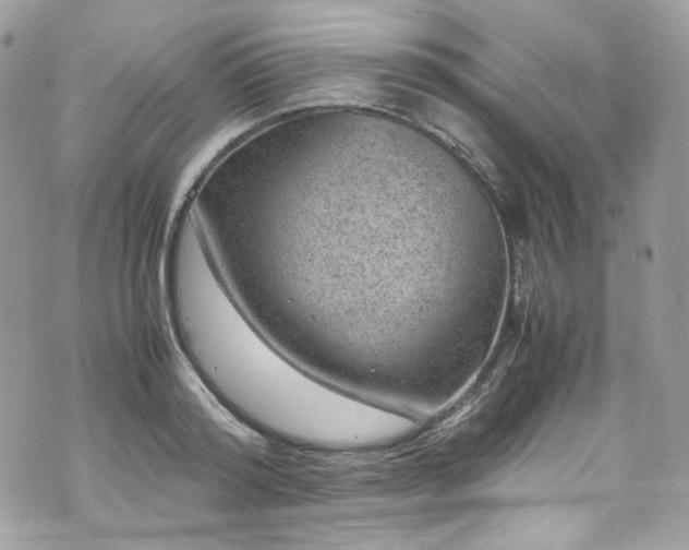 X0000070370796200606161316