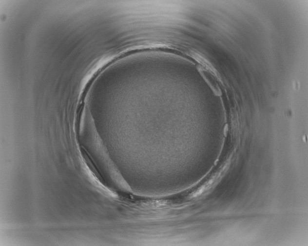 X0000070370797200606161316