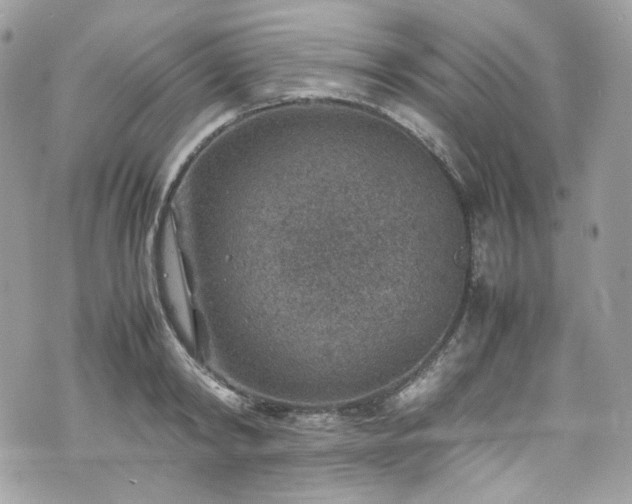 X0000070370798200606161316