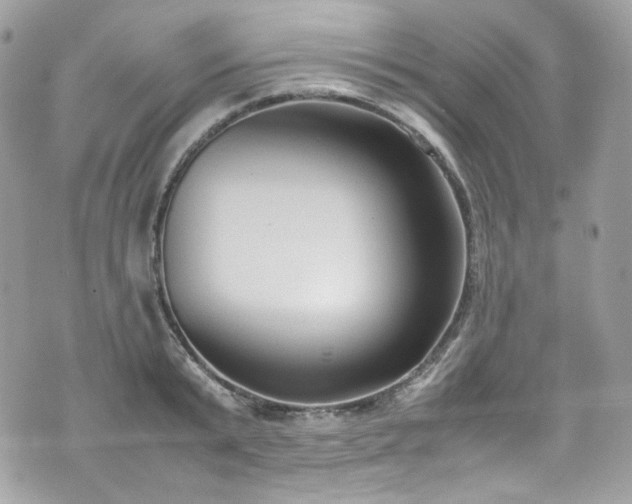 X0000070370799200606161316