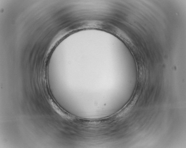 X0000070370800200606161316