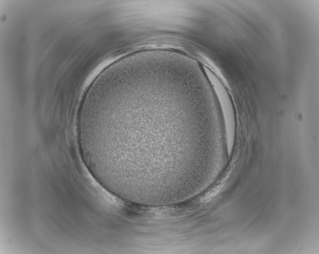 X0000070370803200606161316