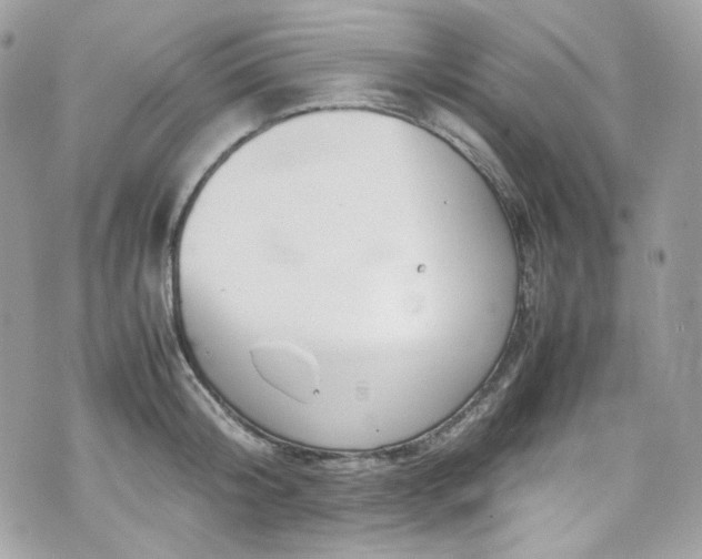 X0000070370804200606161316