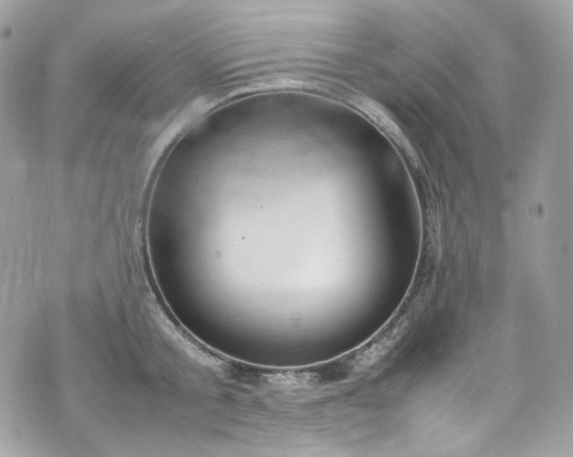 X0000070370805200606161316