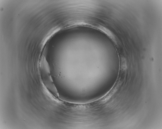 X0000070370806200606161316