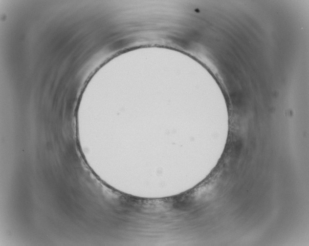 X0000070370807200606161316