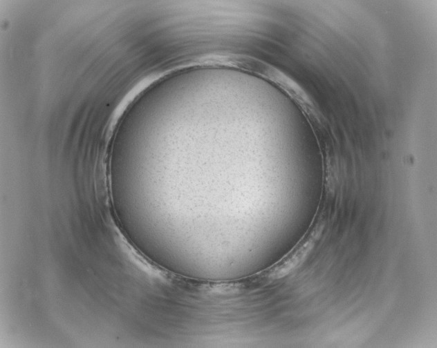 X0000070370808200606161316