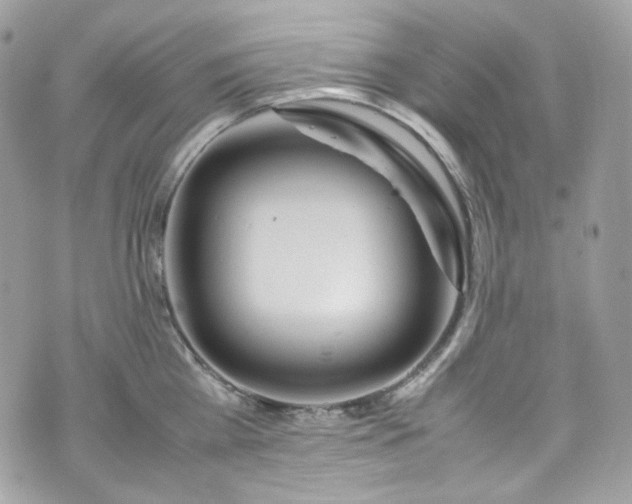 X0000070370809200606161316