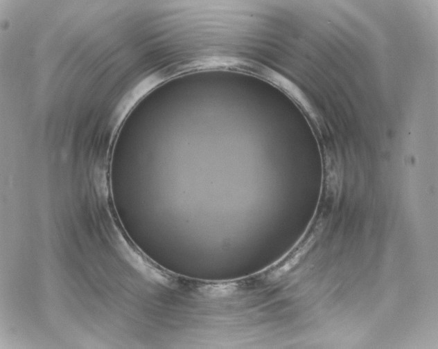 X0000070370810200606161315