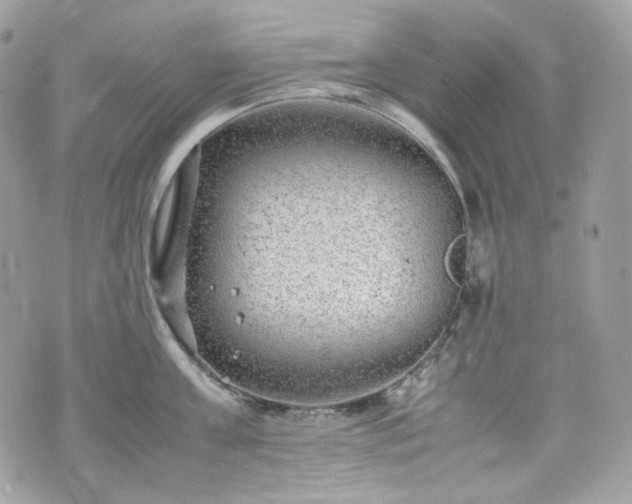 X0000070370811200606161315