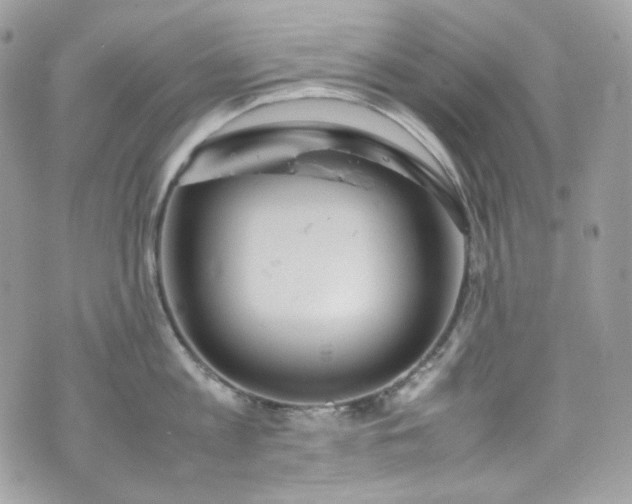 X0000070370813200606161315