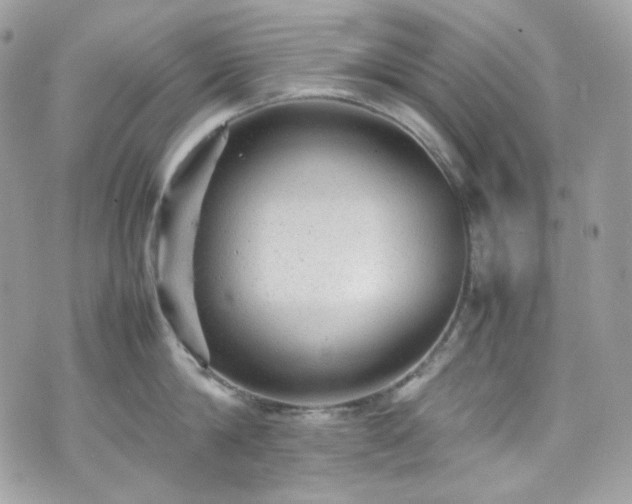 X0000070370814200606161315