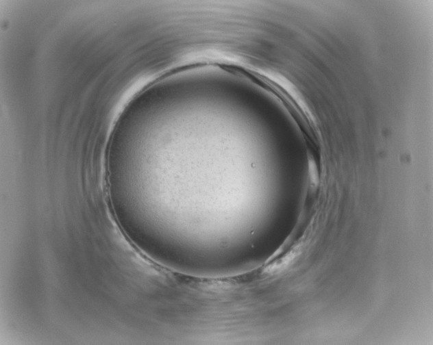 X0000070370815200606161315