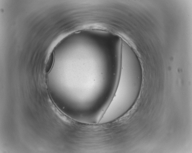 X0000070370816200606161315