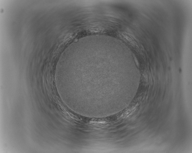 X0000070370817200606161315