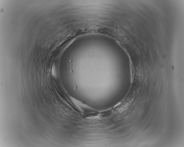 X0000070370818200606161315