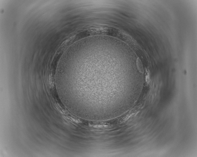 X0000070370819200606161315