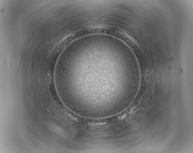 X0000070370821200606161315