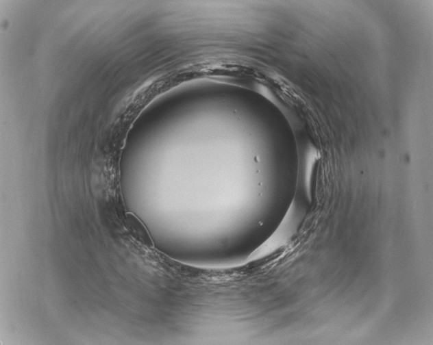 X0000070370822200606161315