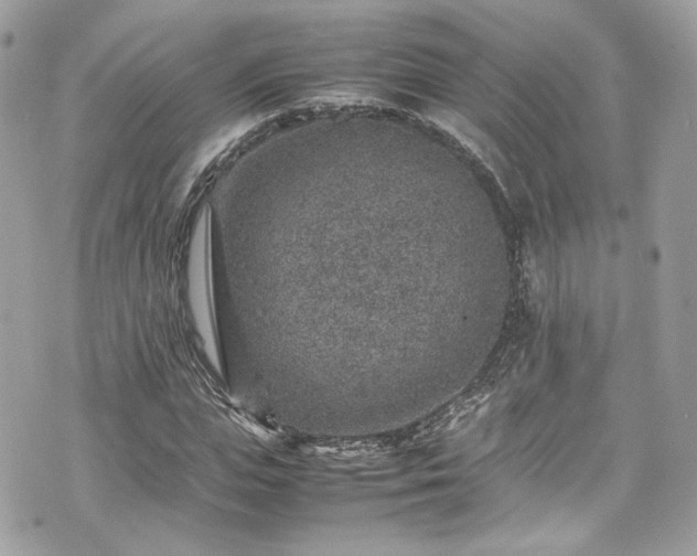 X0000070370823200606161315