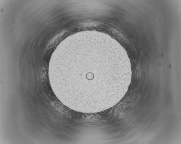 X0000070370824200606161315