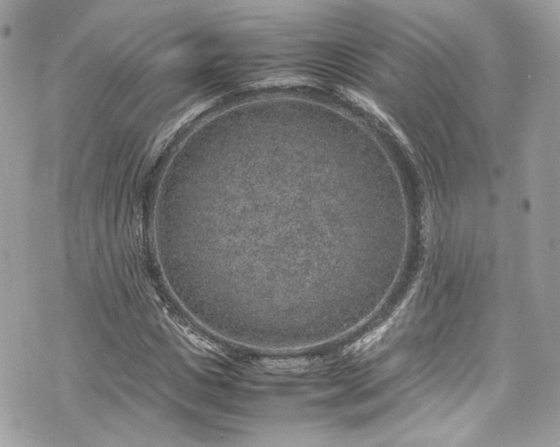 X0000070370825200606161315