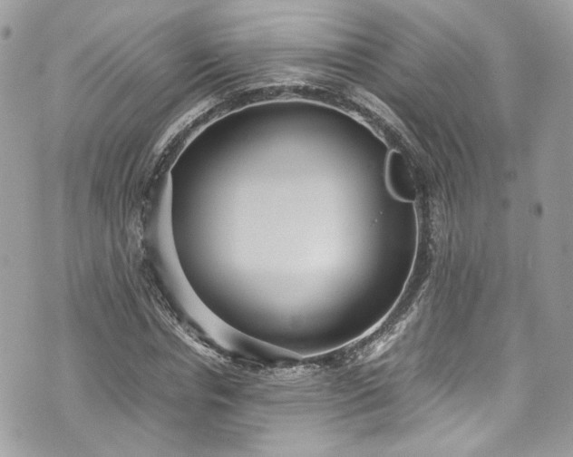 X0000070370826200606161315