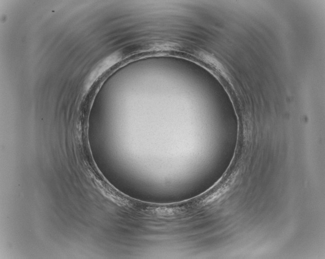 X0000070370827200606161315