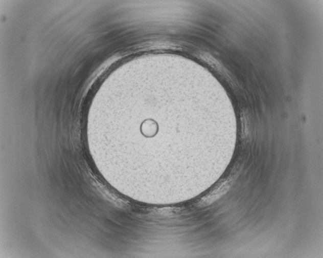 X0000070370828200606161315