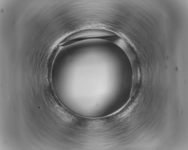 X0000070370830200606161315