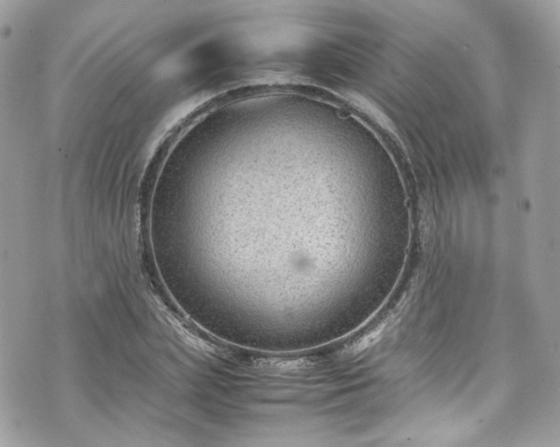 X0000070370831200606161315