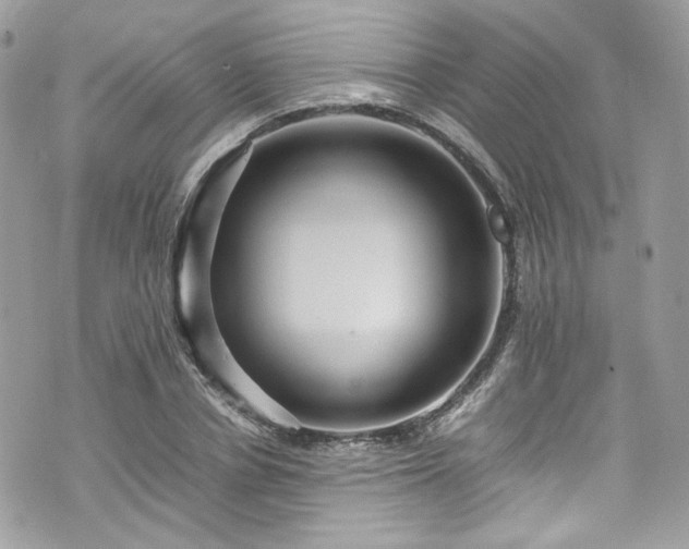 X0000070370834200606161315