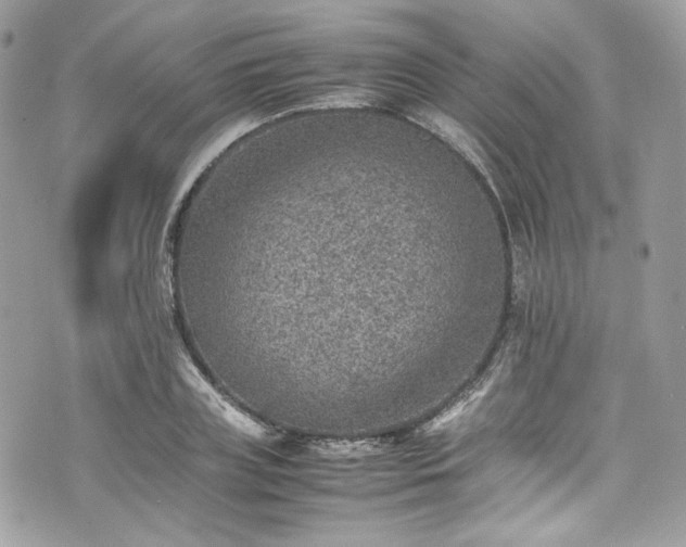 X0000070370835200606161315