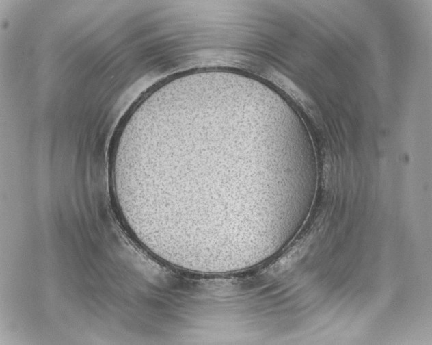 X0000070370836200606161315