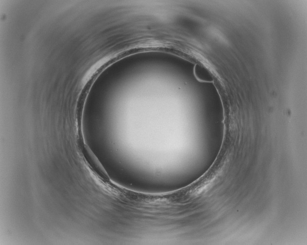 X0000070370837200606161315