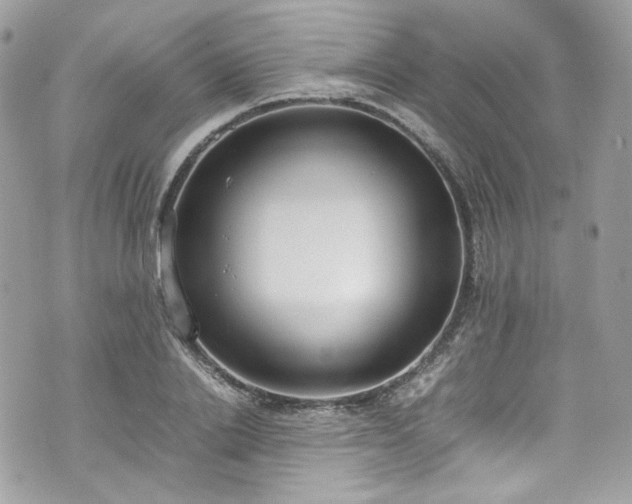 X0000070370838200606161315