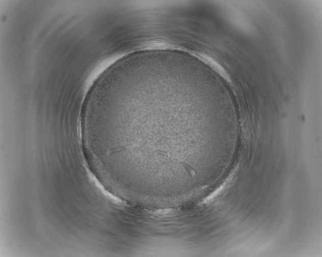 X0000070370839200606161315