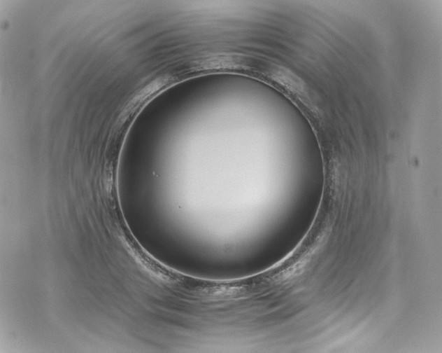 X0000070370841200606161315