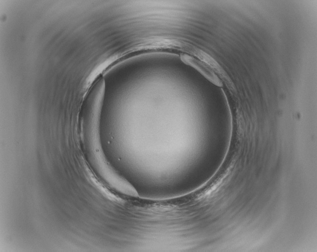 X0000070370842200606161315