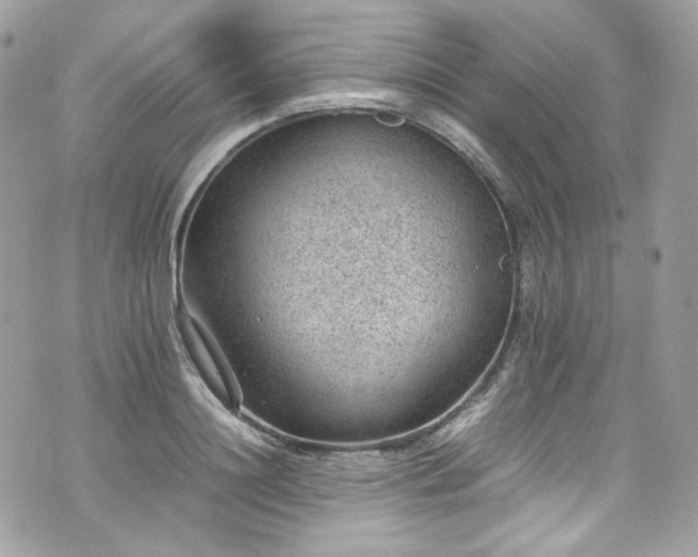 X0000070370844200606161315