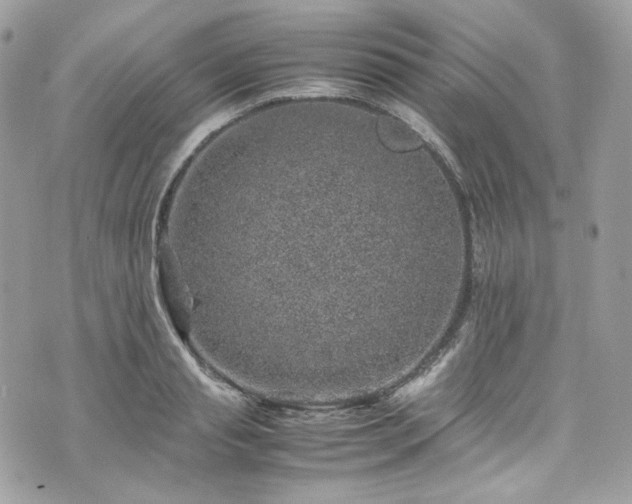 X0000070370845200606161315