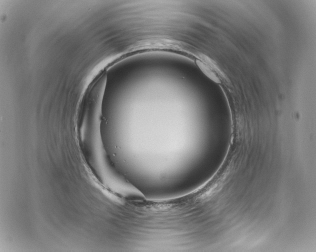 X0000070370846200606161315