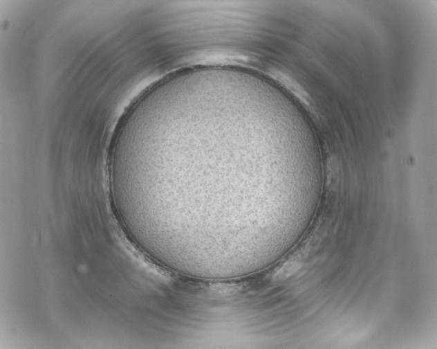 X0000070370848200606161315