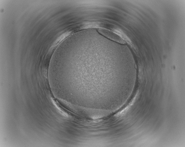 X0000070370849200606161315