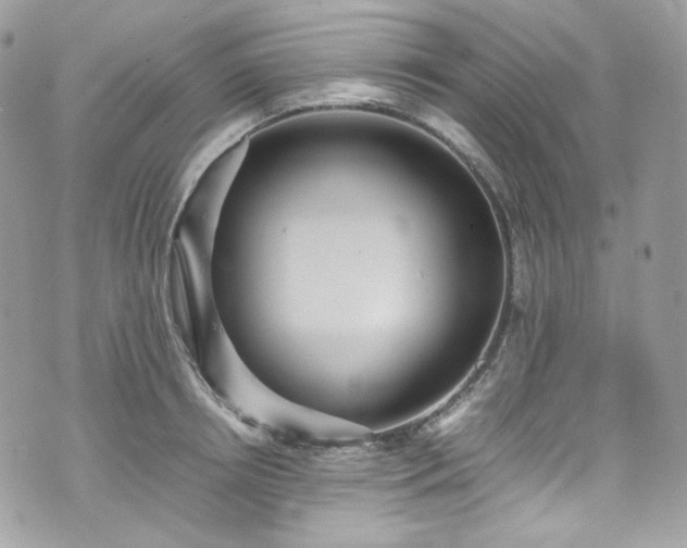 X0000070370850200606161315