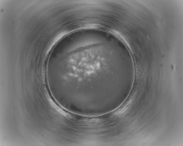 X0000070370851200606161315