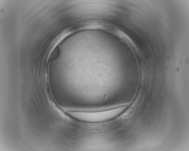 X0000070370852200606161315