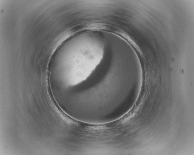 X0000070370853200606161315