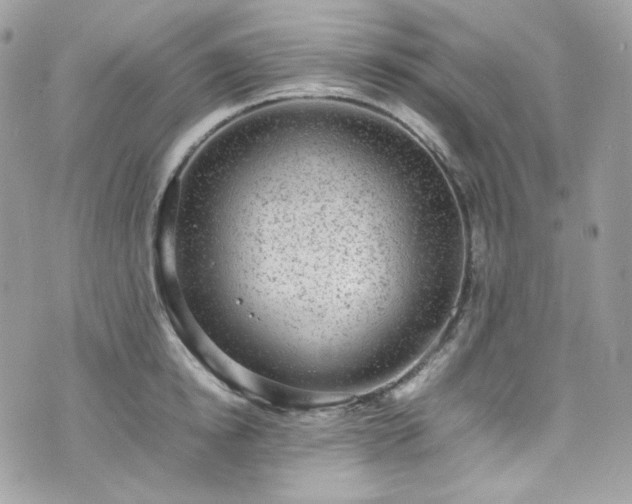 X0000070370854200606161315